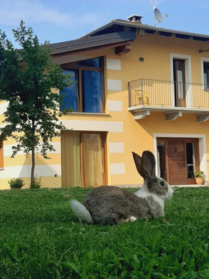 Agriturismo Fior Di Campo Dronero Exteriör bild